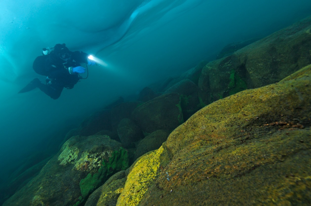 Курс Dry Suit, Ice Diver, Deep, Sidemount в Иркутске на Байкале