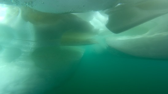 Апрельский Ice Diving