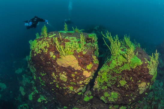 Dive site STONE GARDEN. Foto by Andrey Sidorov.